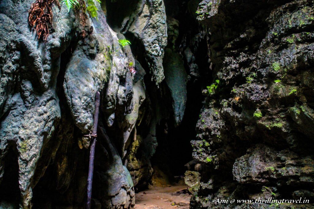 Limestone Caves of Baratang Island