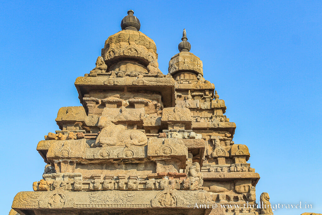 The carved vimana of the Shore temple at Mahabalipuram