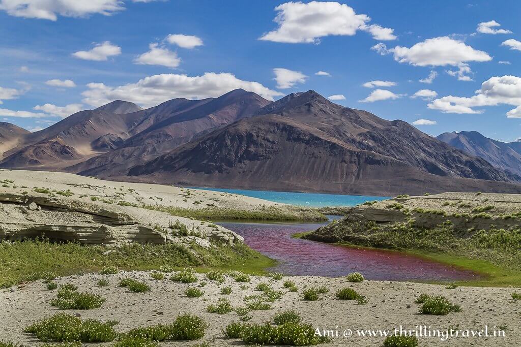 The colors of Pangong Lake Ladakh