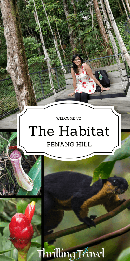 The habitat Penang Hill