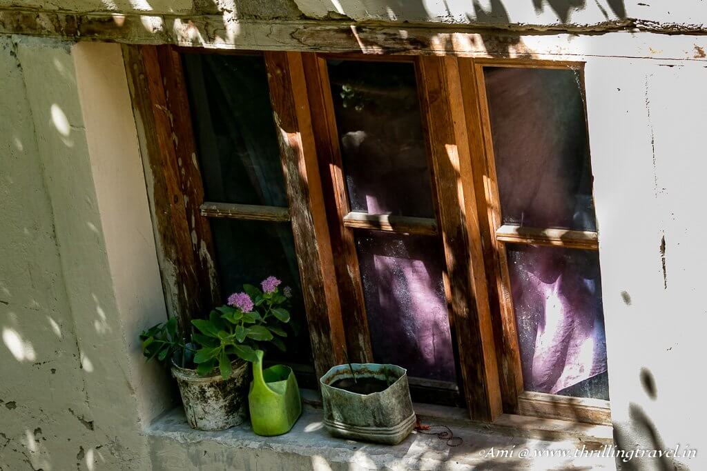 Window of an Aryan home
