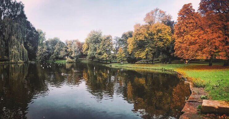 The Noorderplantsoen in autumn - one of places to see in Groningen in Autumn