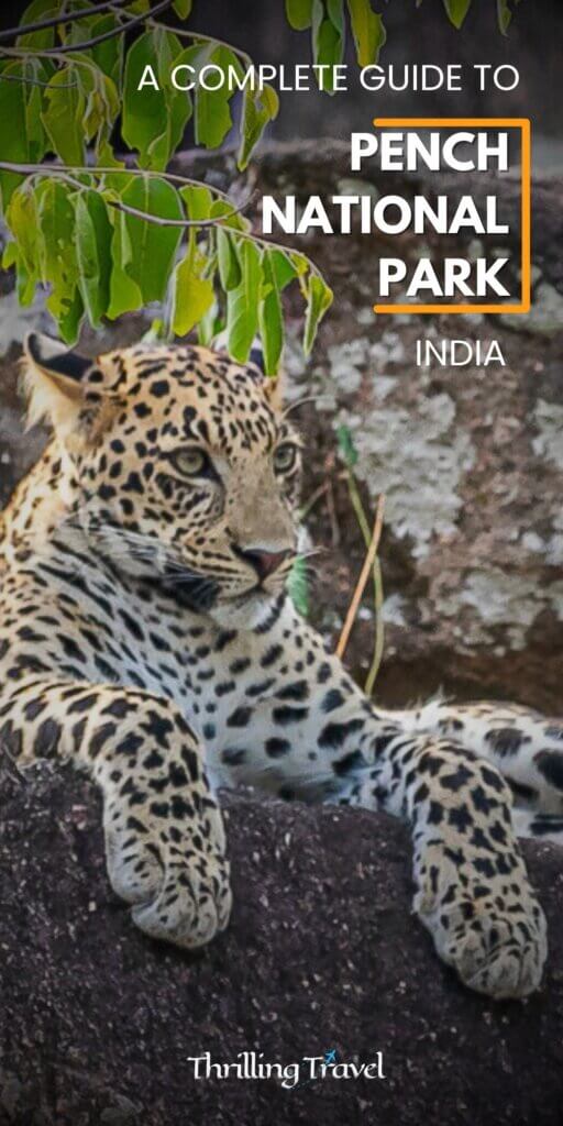 Pench national park booking guide