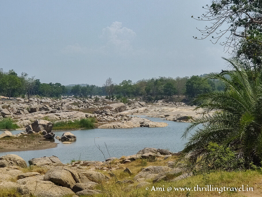 Pench river that flows through this national park in MP