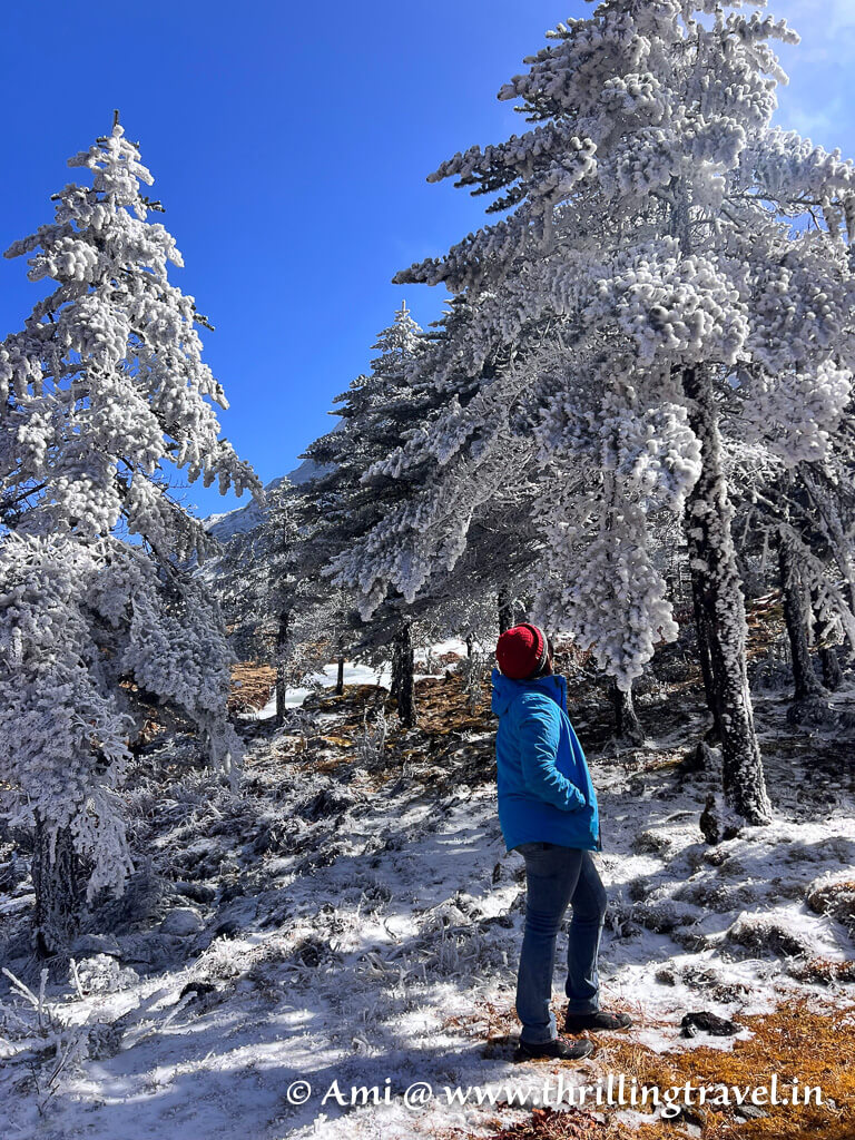 During my Sela Pass hike