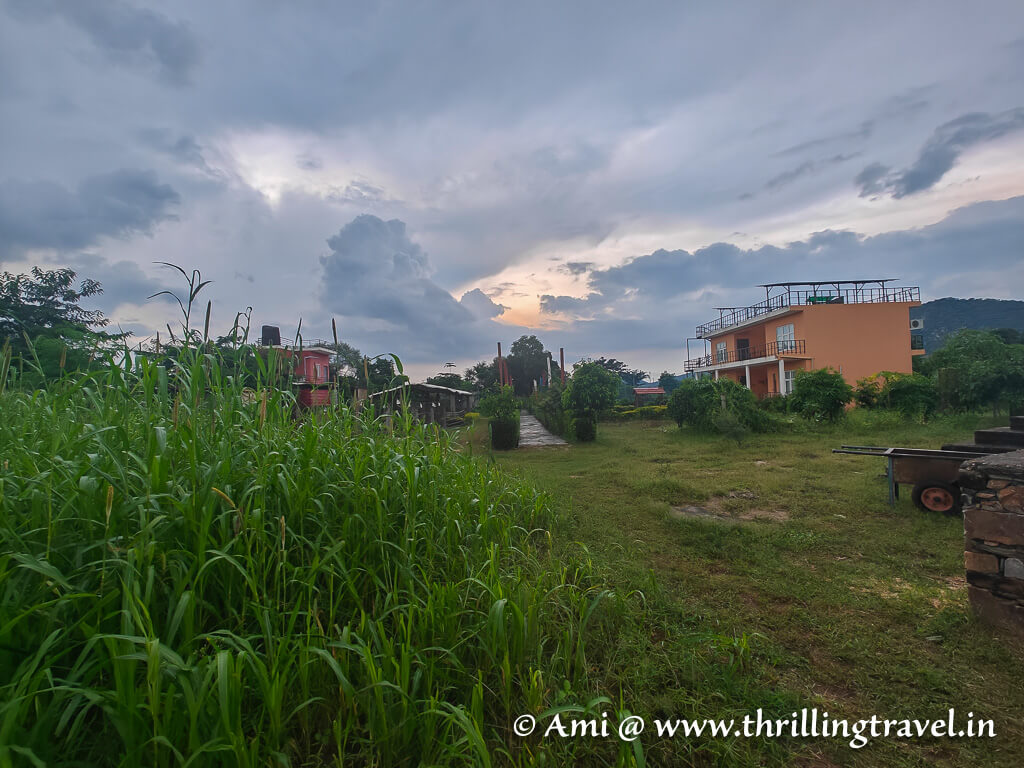 A view of Aranyavs farm stay near Jaipur