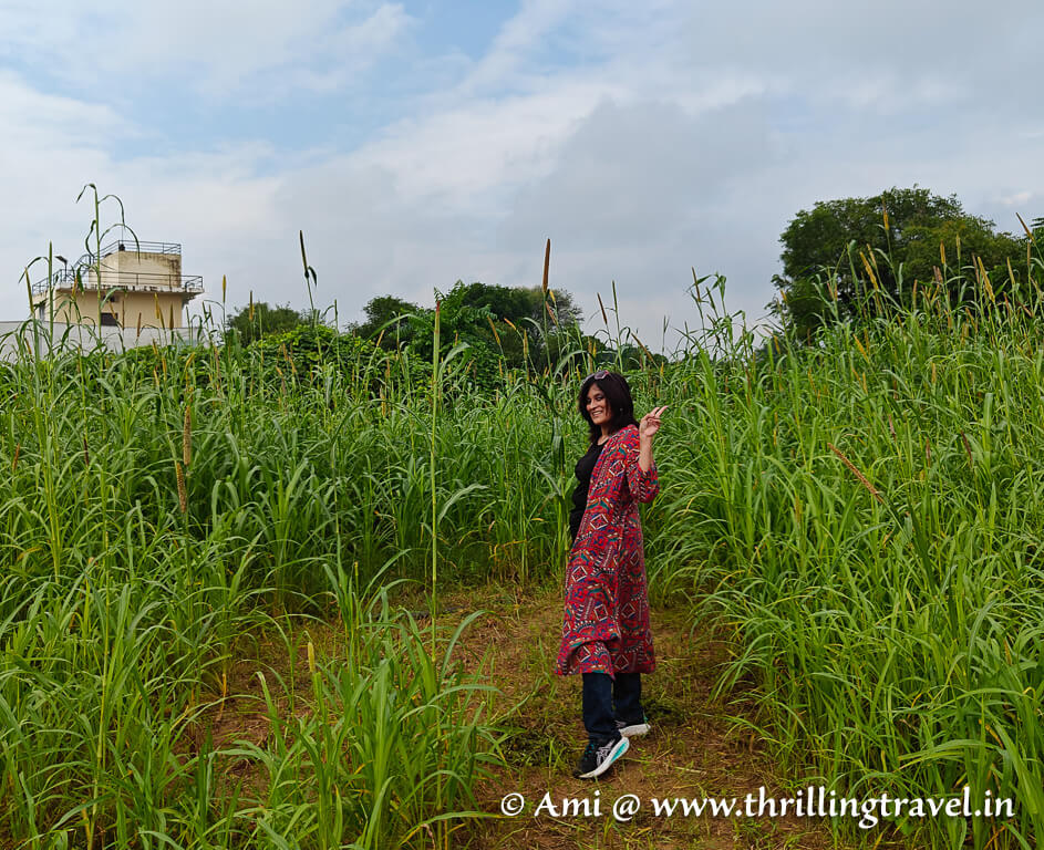 Me at the Aranyavas Nature Retreat - a farm stay in Jaipur