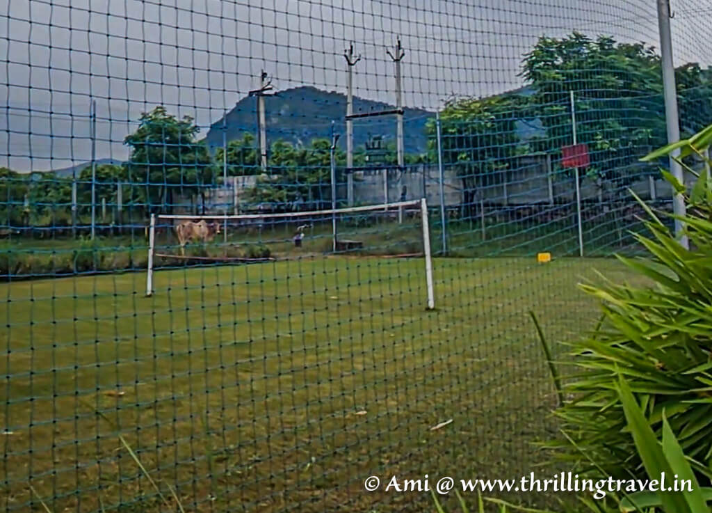 Fun games to keep you occupied at the Jaipur nature stay