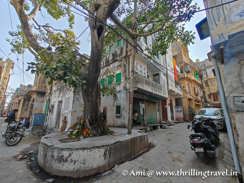 A glimpse of Old Jaipur city and its historic lanes