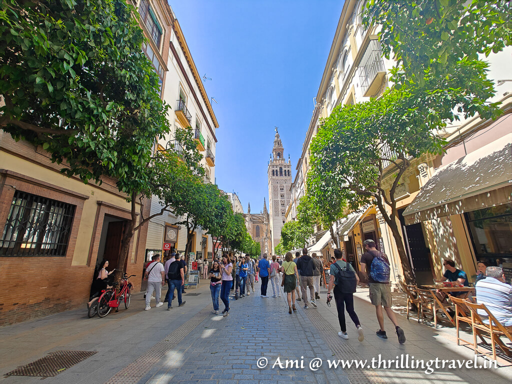 Barrio Santa Cruz with the view of the Giralda - the locality is one of the best places to stay when spending a weekend in Seville