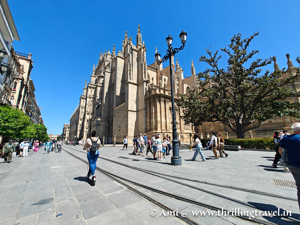 Trams ply close to the key attractions of Seville like the Catedral de Sevilla