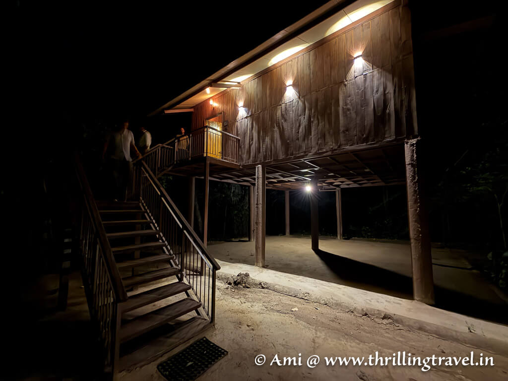 The other Bandhavgarh stay by Pugdundee Safaris - Bandhavgarh tree house hideaway
