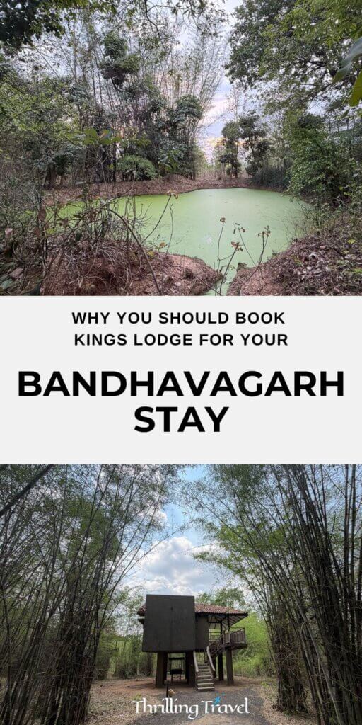 Bandhavgarh where to stay