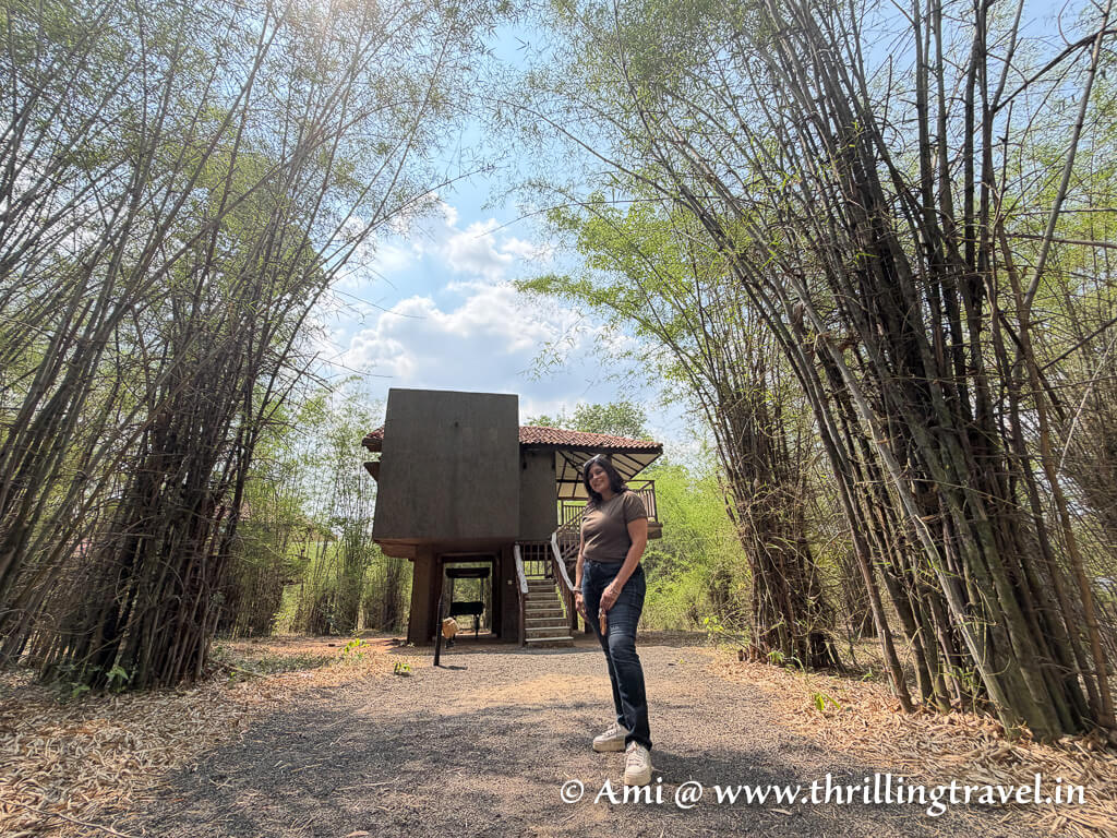 The picturesque Pugdundee Safaris Bandhavgarh stay with Kings Lodge