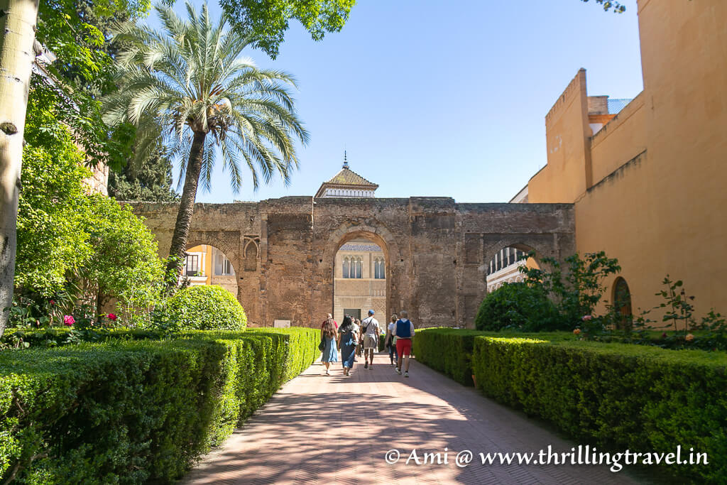Patio del Leone with the old Almohad wall in Real Alcázar Seville