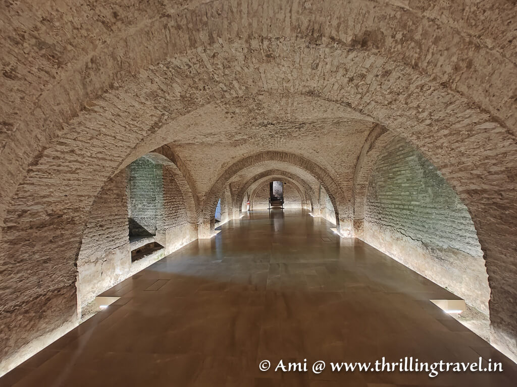 The basement that you will pass through under the Pedro castle to get to the Alcazar gardens