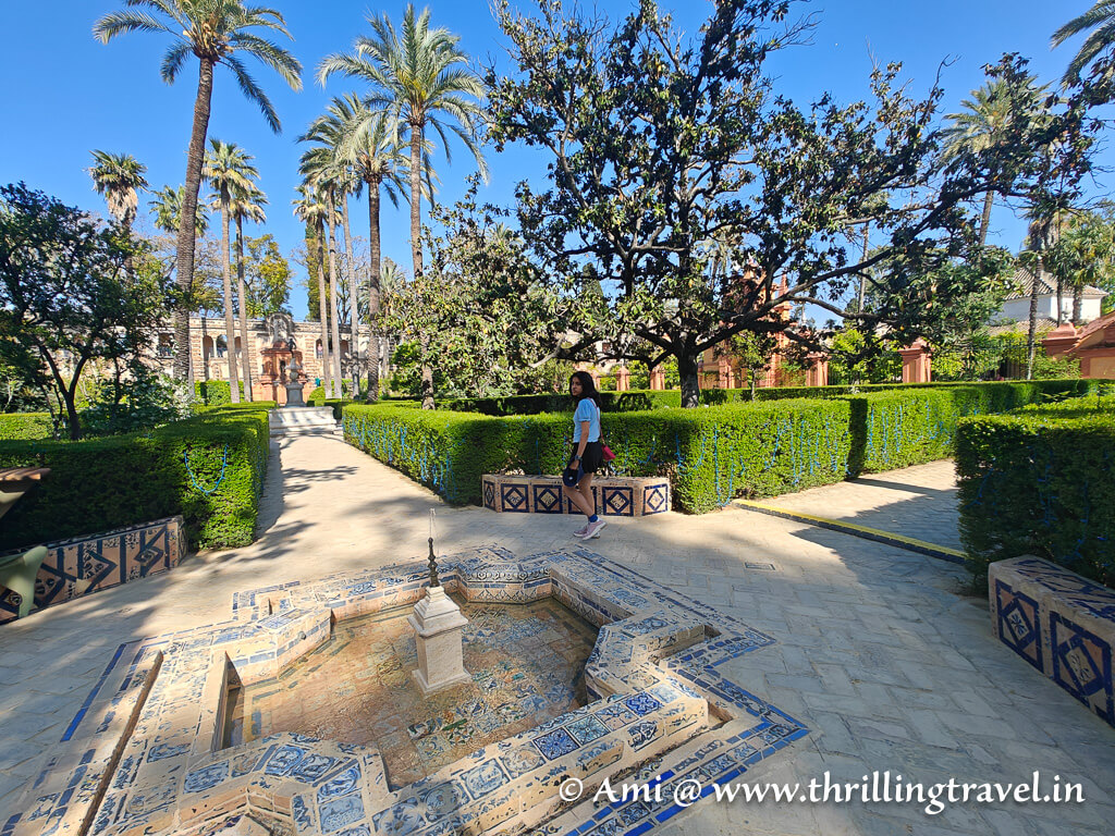 Garden of flowers - one of the Alcazar gardens to see