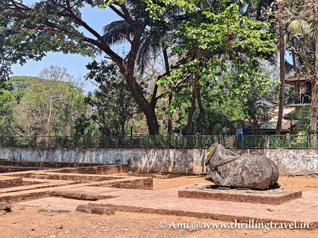 Tambi-Surla temple ruins that was once built by the Kadambas