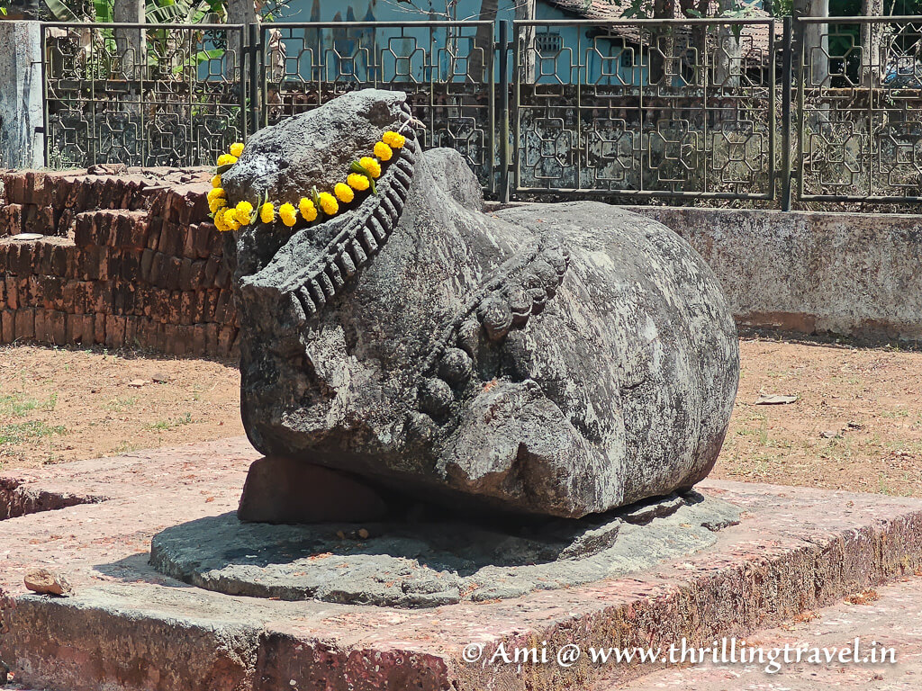 The remains of a Nandi at the excavated Kadamba temple site in Chandor heritage village